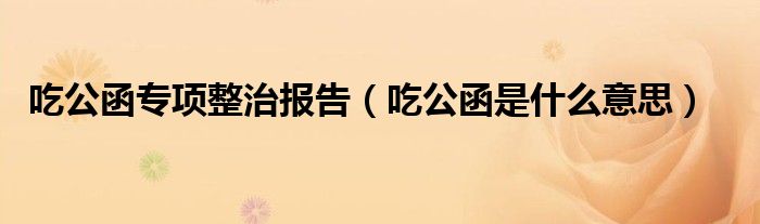 吃公函專項整治報告（吃公函是什么意思）