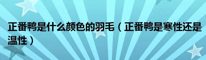 正番鴨是什么顏色的羽毛（正番鴨是寒性還是溫性）