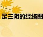足三陰的經(jīng)絡(luò)圖（三陰交的準(zhǔn)確位置圖穴位）
