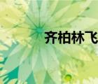 齊柏林飛艇圖片（齊柏林飛艇）