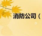 消防公司（說一說消防公司的簡介）
