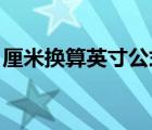 厘米換算英寸公式（厘米換算英寸 批量換算）