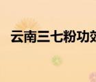 云南三七粉功效作用點（云南三七粉功效）