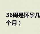36周是懷孕幾個月算早產(chǎn)嗎（36周是懷孕幾個月）