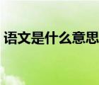 語文是什么意思是什么（大語文是什么意思）