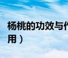 楊桃的功效與作用害處知乎（楊桃的功效與作用）