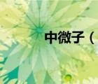 中微子（說一說中微子的簡介）