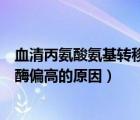 血清丙氨酸氨基轉(zhuǎn)移酶值偏高的原因（天門冬氨酸氨基轉(zhuǎn)移酶偏高的原因）