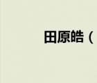 田原皓（說一說田原皓的簡介）