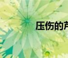 壓傷的蘆葦他不折斷（壓傷）