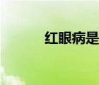 紅眼病是啥（紅眼病怎么傳染）