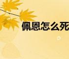 佩恩怎么死的視頻（佩恩怎么死的）
