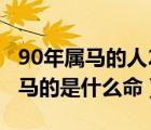 90年屬馬的人2023年的運(yùn)勢(shì)及運(yùn)程（90年屬馬的是什么命）