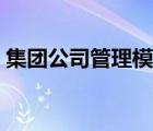 集團公司管理模式體系（集團公司管理模式）