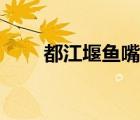 都江堰魚嘴的導(dǎo)游詞（都江堰魚嘴）