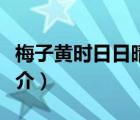 梅子黃時(shí)日日晴（說一說梅子黃時(shí)日日晴的簡介）