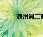 涼州詞二首（涼州詞二首王之渙）