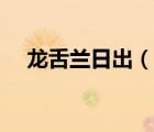 龍舌蘭日出（說一說龍舌蘭日出的簡介）