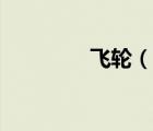 飛輪（說一說飛輪的簡介）
