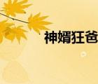 神婿狂爸皓鳴江晚晚（晚晚操）