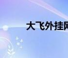 大飛外掛網(wǎng)怎么開（大飛外掛網(wǎng)）