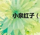 小泉紅子（說(shuō)一說(shuō)小泉紅子的簡(jiǎn)介）