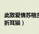 此致愛情蘇格蘭折耳貓微盤（此致愛情蘇格蘭折耳貓）