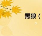 黑狼（說(shuō)一說(shuō)黑狼的簡(jiǎn)介）