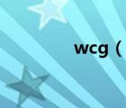 wcg（說一說wcg的簡介）