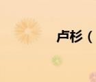盧杉（說(shuō)一說(shuō)盧杉的簡(jiǎn)介）
