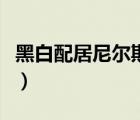 黑白配居尼爾斯小說在哪看（黑白配居尼爾斯）