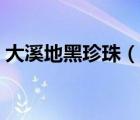大溪地黑珍珠（說一說大溪地黑珍珠的簡介）