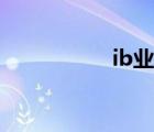 ib業(yè)務(wù)渠道（ib業(yè)務(wù)）