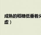 成熟的稻穗低垂著頭（成熟的麥穗低垂著頭那是在教我們謙虛）