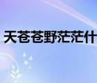 天蒼蒼野茫茫什么意思（天蒼蒼野茫茫全詩）