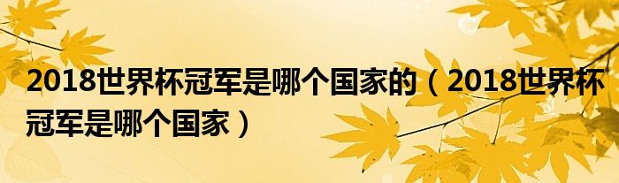2018世界杯冠軍是哪個(gè)國(guó)家的（2018世界杯冠軍是哪個(gè)國(guó)家）