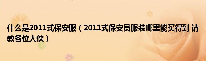 什么是2011式保安服（2011式保安員服裝哪里能買得到 請教各位大俠）