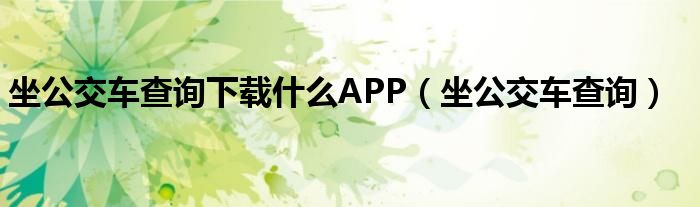 坐公交車查詢下載什么APP（坐公交車查詢）