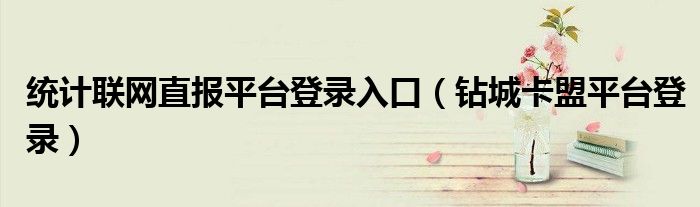 統(tǒng)計聯(lián)網(wǎng)直報平臺登錄入口（鉆城卡盟平臺登錄）