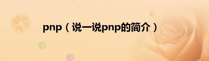 pnp（說一說pnp的簡介）