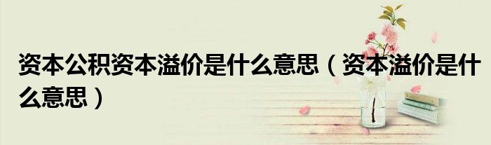 資本公積資本溢價(jià)是什么意思（資本溢價(jià)是什么意思）