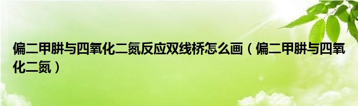 偏二甲肼與四氧化二氮反應(yīng)雙線橋怎么畫（偏二甲肼與四氧化二氮）
