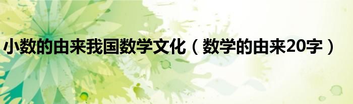 小數(shù)的由來我國數(shù)學文化（數(shù)學的由來20字）