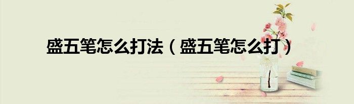 盛五筆怎么打法（盛五筆怎么打）