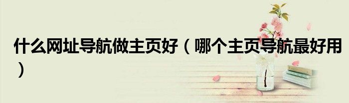 什么網(wǎng)址導(dǎo)航做主頁好（哪個主頁導(dǎo)航最好用）