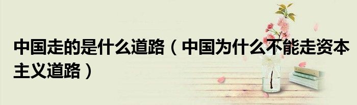 中國(guó)走的是什么道路（中國(guó)為什么不能走資本主義道路）