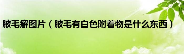 腋毛癬圖片（腋毛有白色附著物是什么東西）