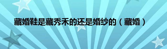 藏婚鞋是藏秀禾的還是婚紗的（藏婚）