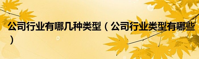 公司行業(yè)有哪幾種類型（公司行業(yè)類型有哪些）
