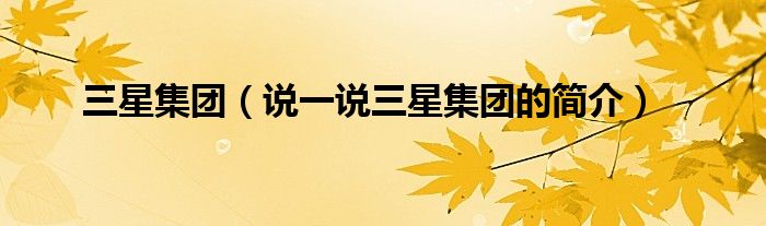 三星集團(tuán)（說(shuō)一說(shuō)三星集團(tuán)的簡(jiǎn)介）